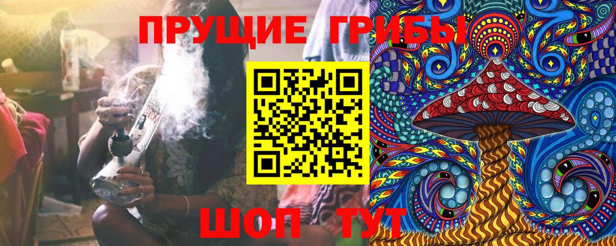 Галлюциногенные грибы прущие грибы Лабинск