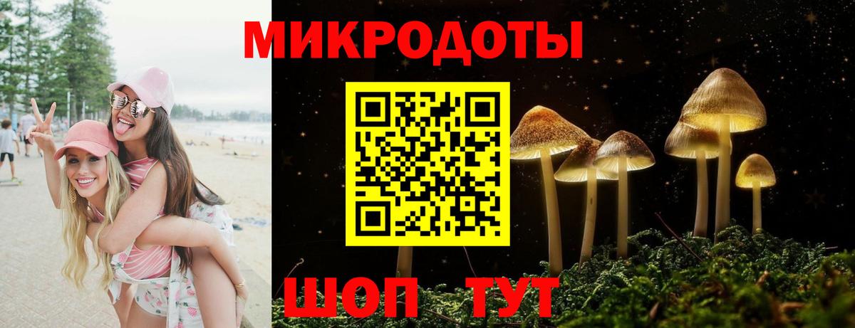 наркотики  Вход с VPN  Лабинск  Псилоцибиновые грибы Psilocybe 